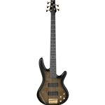GSR205PCTPB Ibanez 5-String Electric Bass - Transparent Pale Black Burst
