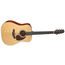 EF340STT Takamine Acoustic Guitar also comes with hard case