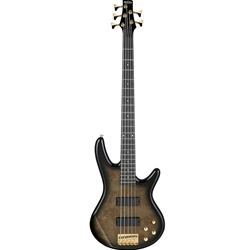 GSR205PCTPB Ibanez 5-String Electric Bass - Transparent Pale Black Burst