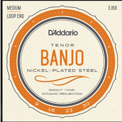 EJ63  D'Addario Tenor Banjo Strings -- Nickel